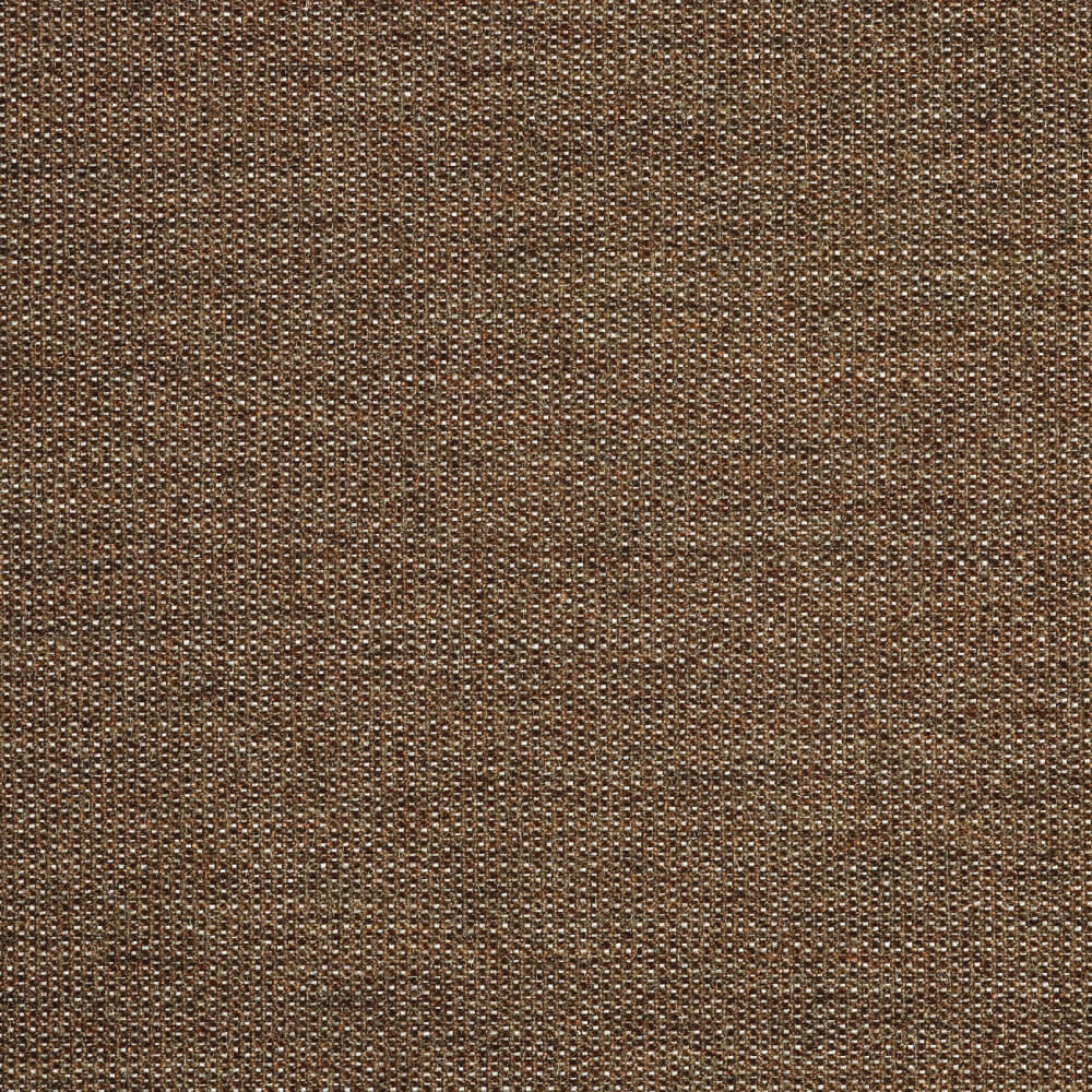 Coconut Basic