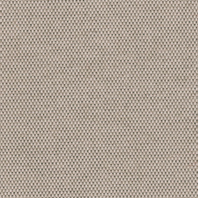 Desert Stone Flax